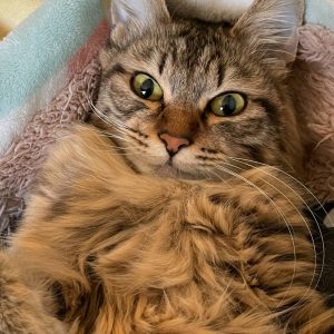 高崎店 猪子正美です 株式会社あるかんしえる